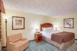 Hotel Red Lion Airport